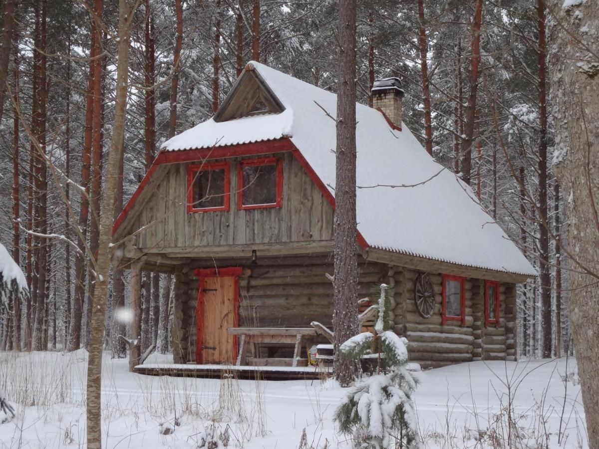 Дома для отпуска Järve Cottages Tehumardi-21